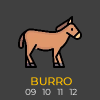 Burro