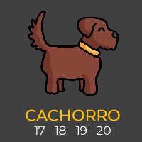 Cachorro