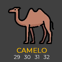 Camelo